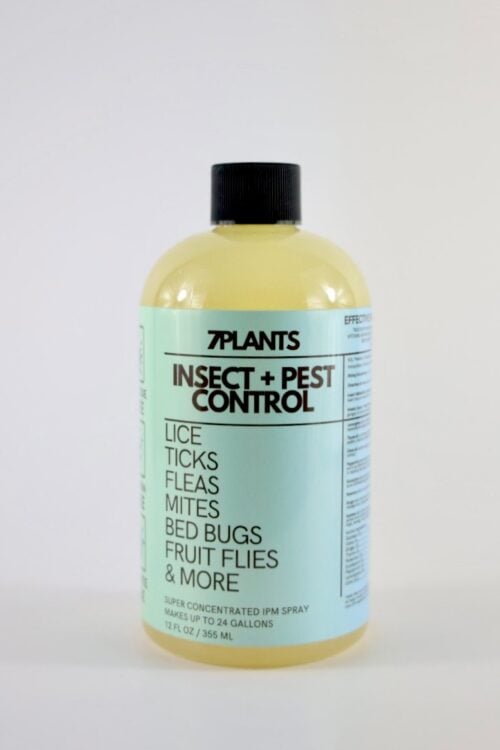 Insect + Pest Control - Super Concentrate - 12oz. - Makes up to 24 Gallons